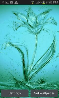 Abstract Water Flower LWP