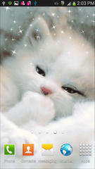 Adorable White Cat Live Wallpaper
