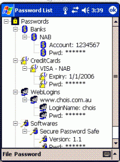 A Secure Password Safe