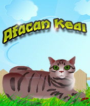 Afacan Kedi