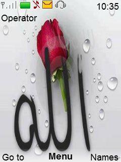 Allah Almighty