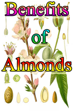 Almonds Benefits