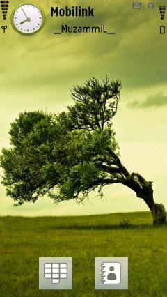 Alone Tree