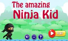 Amazing Ninja Kid Run