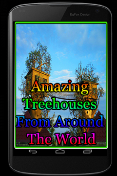 Amazing Treehouses From Around The World