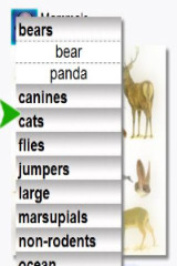 Animals Collection (Keys) for Android