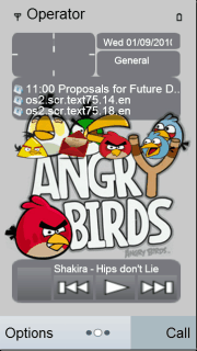 Angry Bird TeaM
