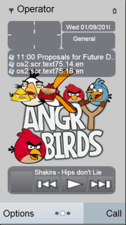 Angry BirdS (Animation)