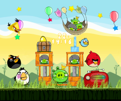 Angry Birds!!!