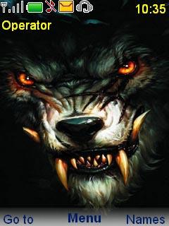 angry wolf