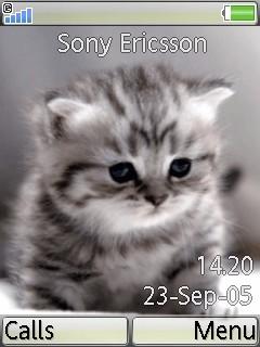 Anima Kittens