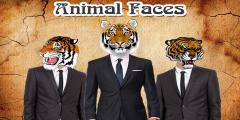Animal Faces Photo