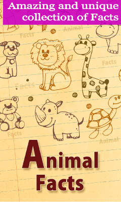 Animal facts collections