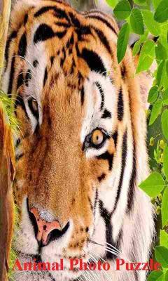 Animal Photo Puzzle