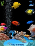 animated aquarium....