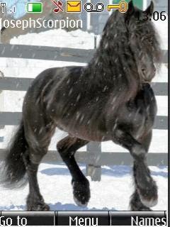 Animated Black Horse