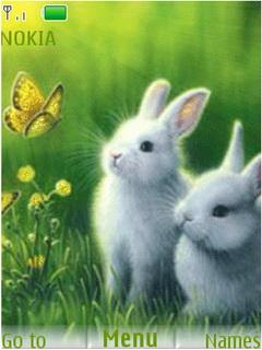 Animated Bunny