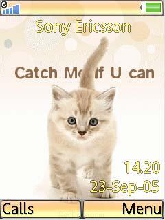 Animated Cat