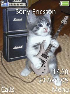 Animated Musical Cat