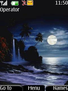 Animated Night