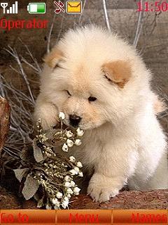 Animated Puppy