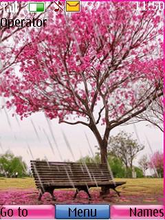 Animated Rain