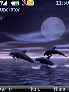Animated Sea