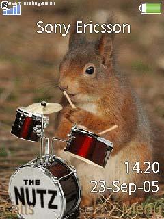 Animated Squirrel