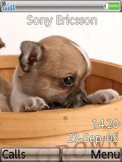Animation Puppies