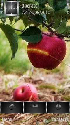 Apple Orchard