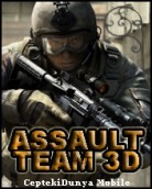 Assault Team 3D