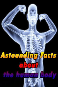 Astounding Facts about the human body