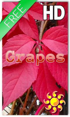 Autumn Grapes Live Wallpaper