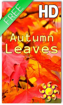 Autumn Leaves HD Free