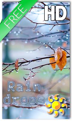 Autumn Raindrops Live HD