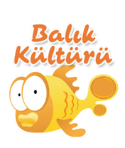 Balik Kulturu