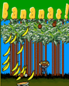 Bananas (Hovr)