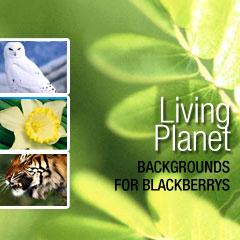LivingPlanet: 390 BlackBerry Backgrounds