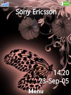 Beautiful Butterfly
