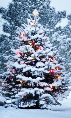 Beautiful Christmas Tree Live Wallpaper
