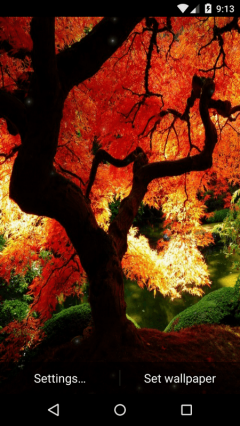 Beautiful Fall Live Wallpaper HD
