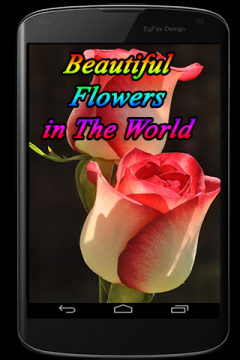 Beautiful Flowers in The World