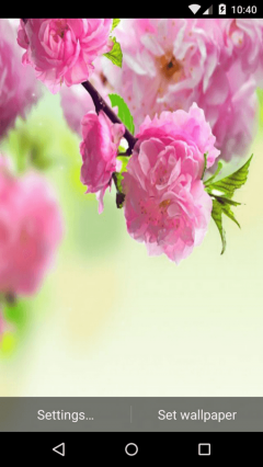 Beautiful Spring Live Wallpaper HD