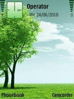 Beautiful Tree