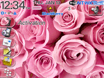8100 Blackberry ZEN Theme: Bed of Roses