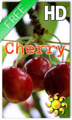 Berry Cherry Live Wallpaper