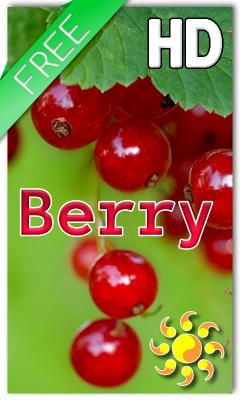 Berry Live Wallpaper HD Free