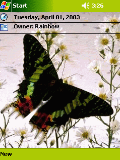 Butterfly Theme1.0 (Rainbow)
