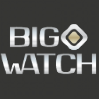 BIG-WATCH
