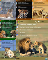 Theme Pack - Big Cats (VGA)